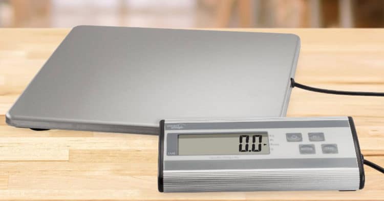 7 Best Shipping and Postal Scales in 2024