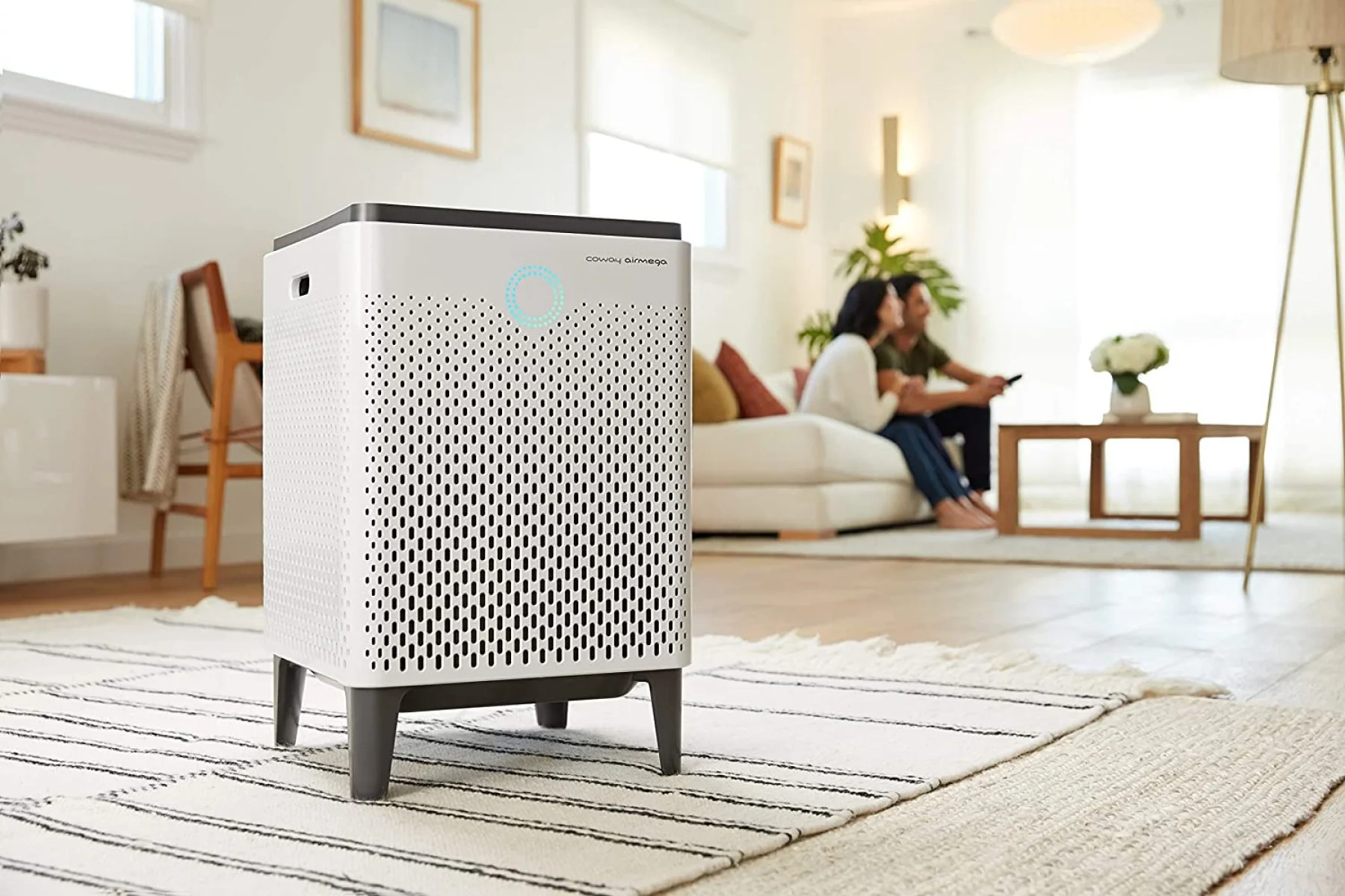 10 Best Smart Air Purifiers in 2025