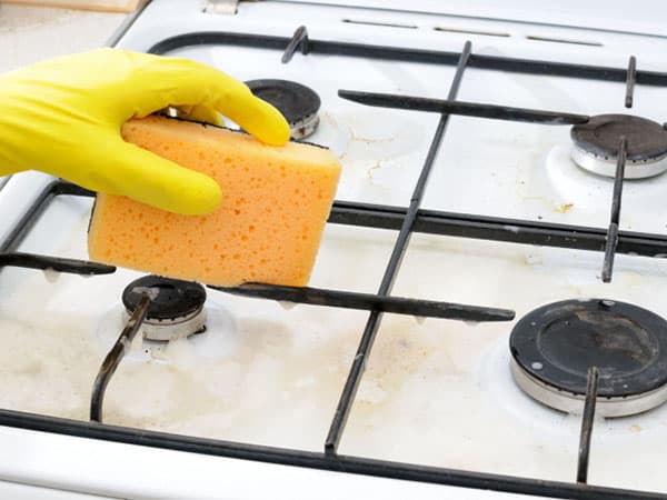 Best sponge