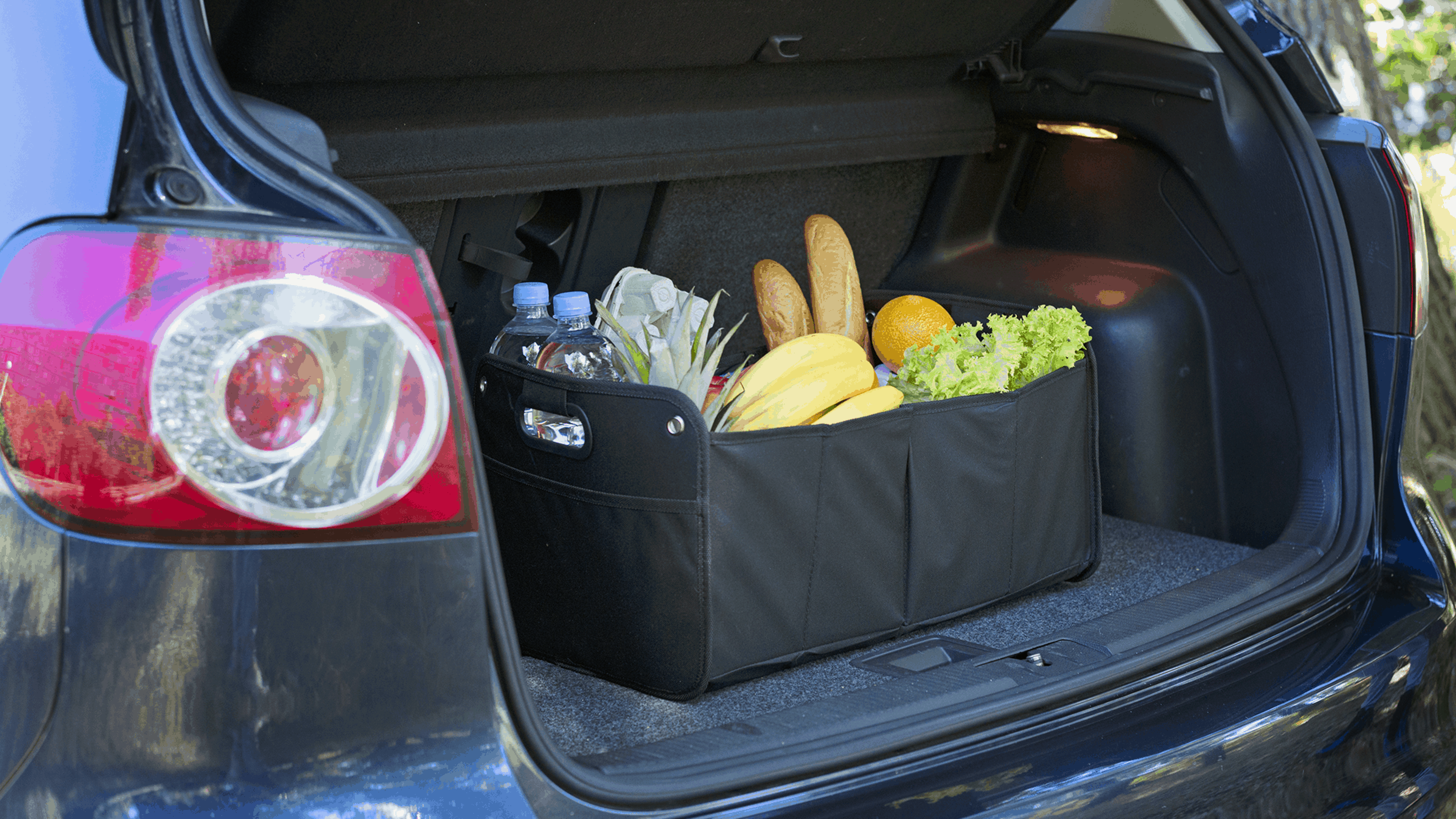 Best Trunk Organizer
