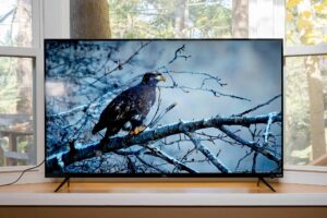 Best TV for Bright Room