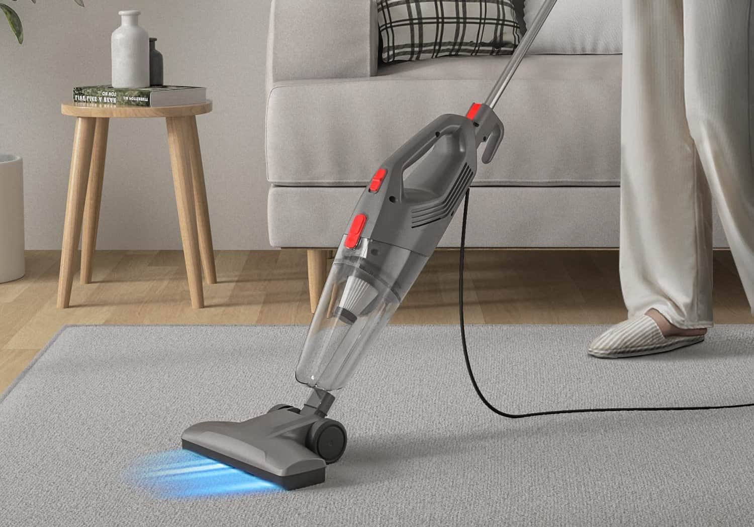 Best Vacuums for Fleas in 2024