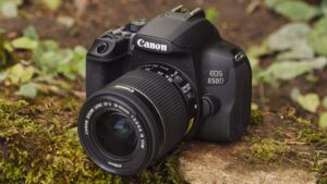 Best Digital Camera for Beginners