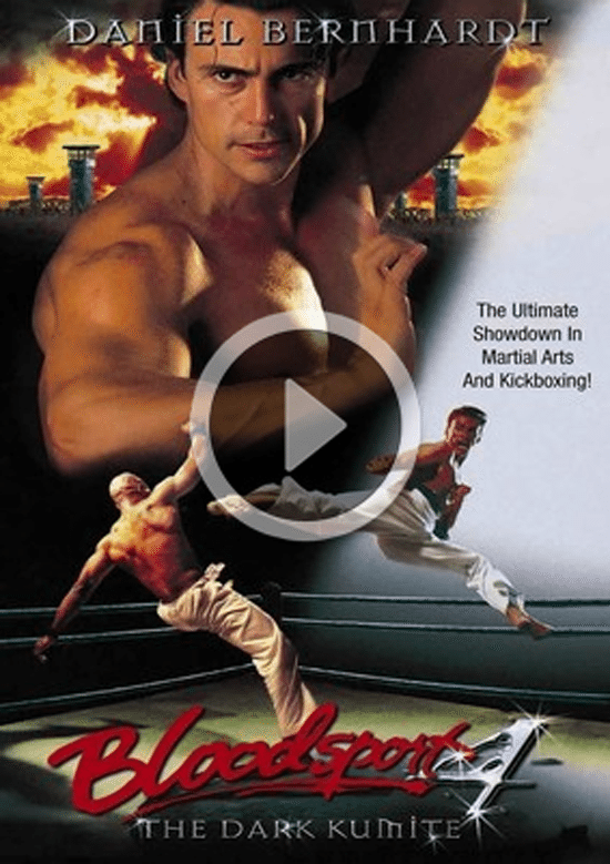 26 Kung Fu Movies Streaming on Netflix (list)