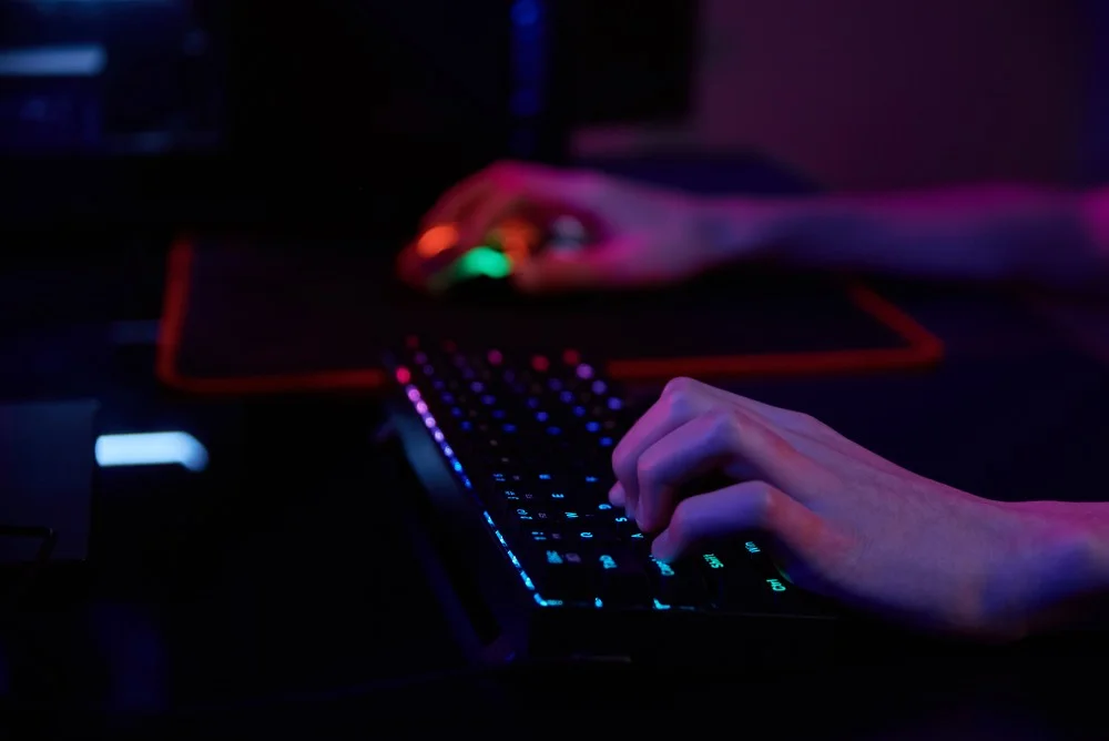 Blue vs Brown Switches
