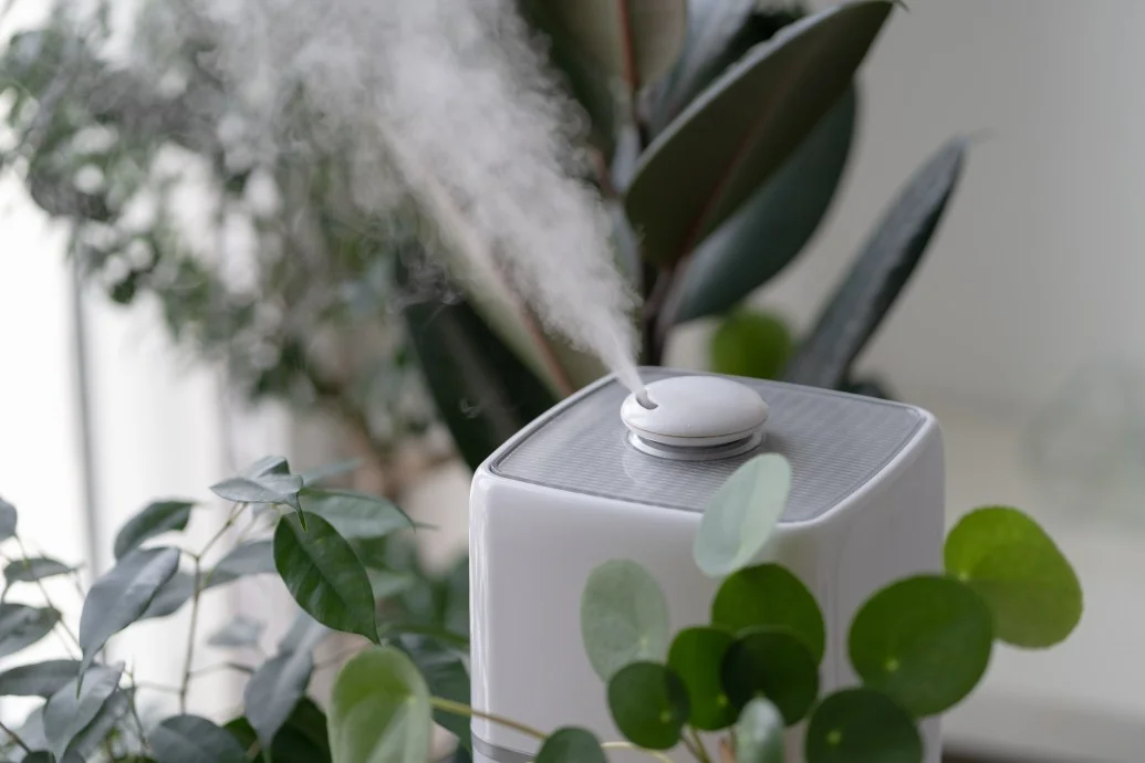 Does Air Purifier Help With The Flu?