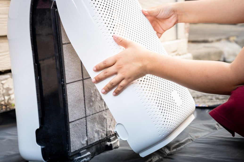 Does an Air Purifier Work for Allergies?