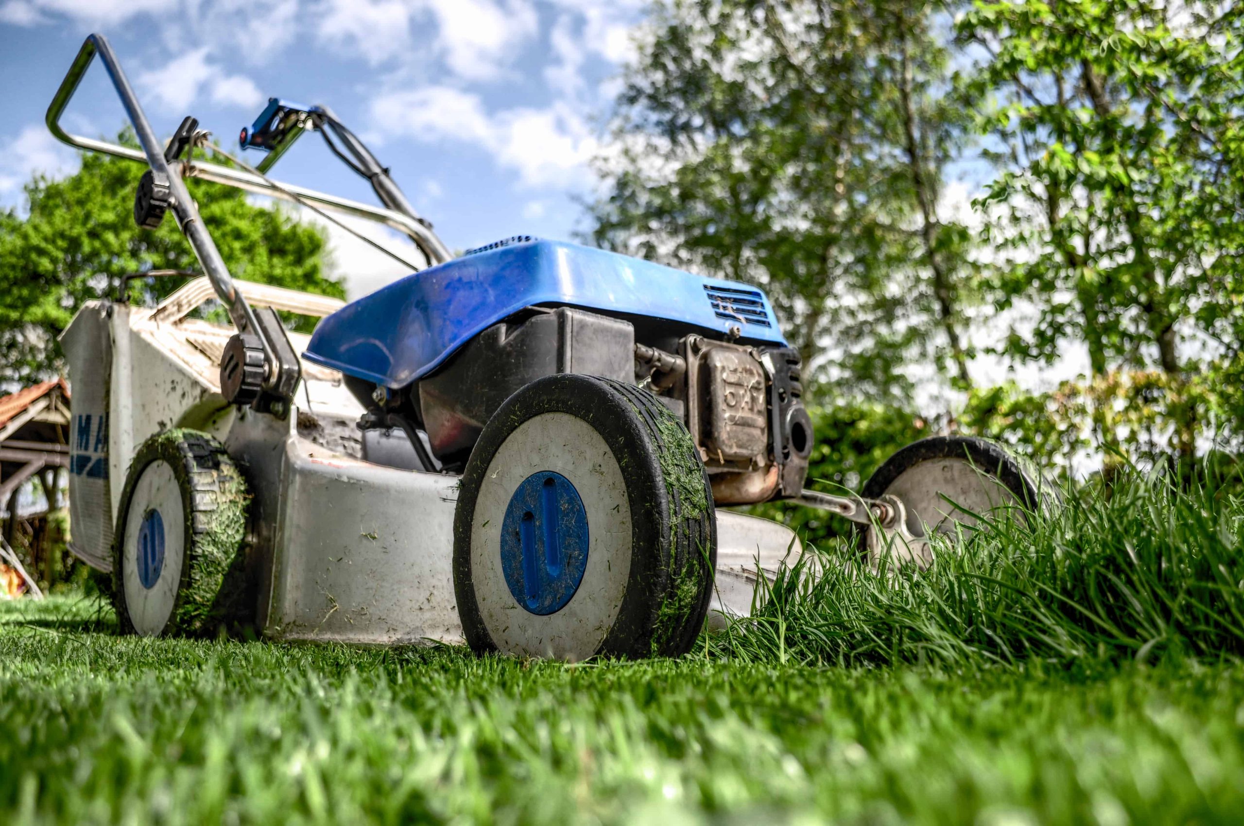 How to Start a (Stubborn) Lawn Mower: Gas or Electric