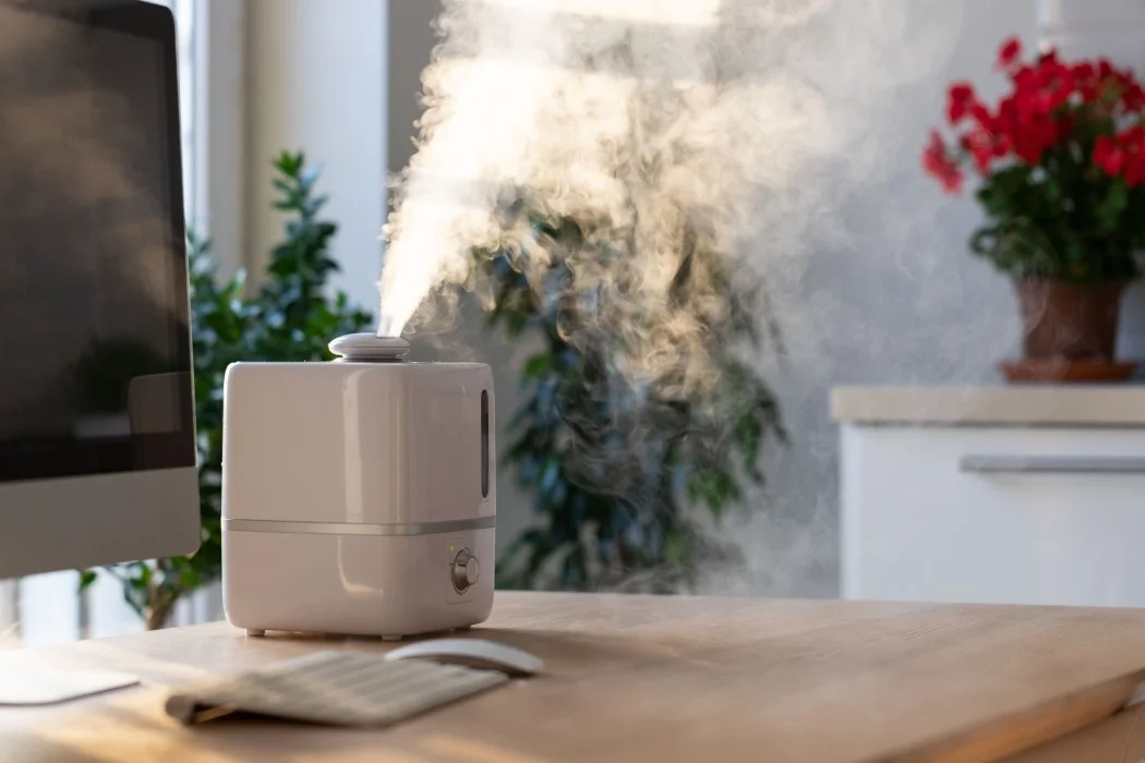 Himalayan Salt Lamp Vs Air Purifier