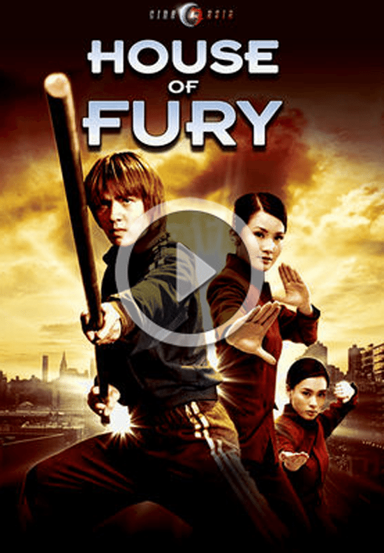 26 Kung Fu Movies Streaming on Netflix (list)