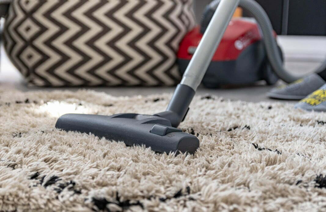 vacuum thick carpet