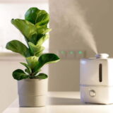 How Long for an Air Purifier to Clean a Room?