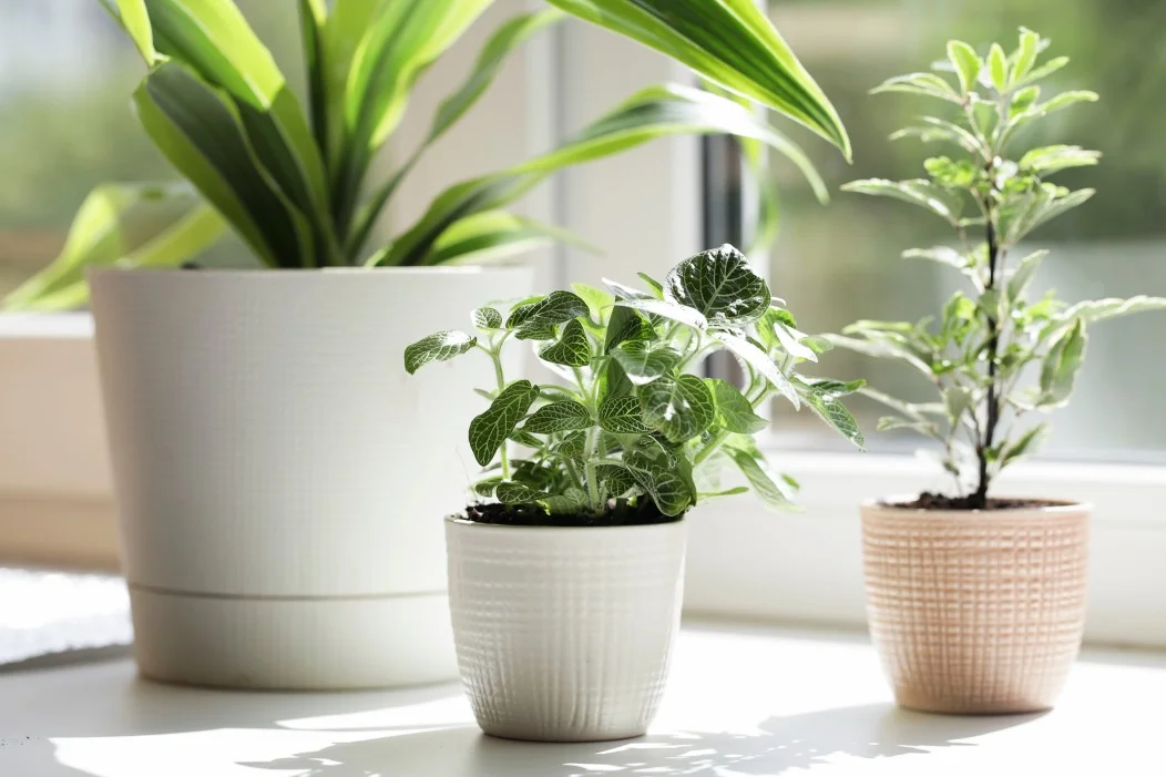How to Get Bad Odor Out of an Air Purifier