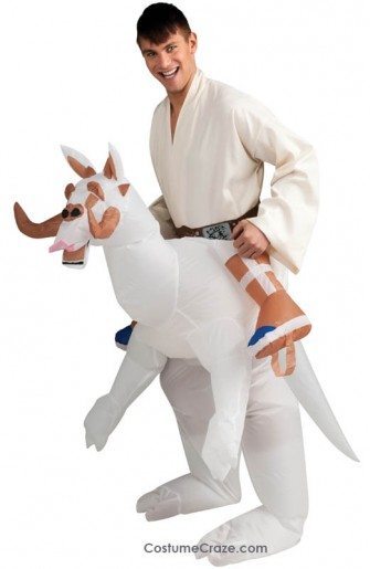 23 Top Star Wars Costumes (list)