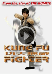 kung-fu-fighter