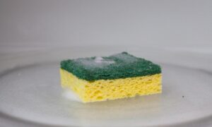 Should You Microwave a Sponge? Science Knows!