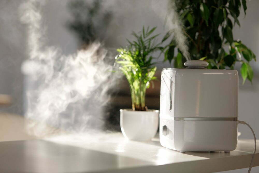 Mooka vs Koios Air Purifiers