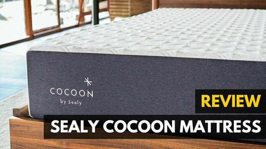 Sealy Cocoon Mattress Review