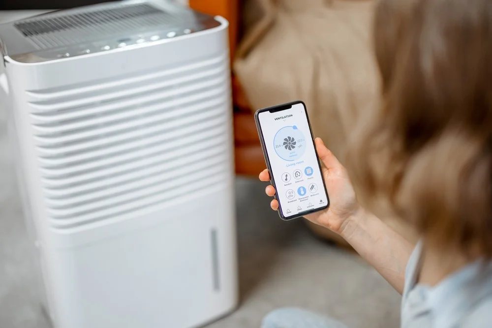 Should I Run an Air Purifier All the Time or Just When I’m Home