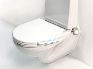 Multi Layered Toilet Seat: One For Each Family Member