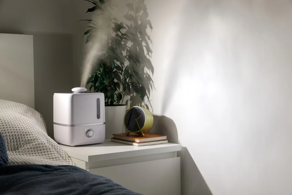 UV vs Ozone Air Purifier
