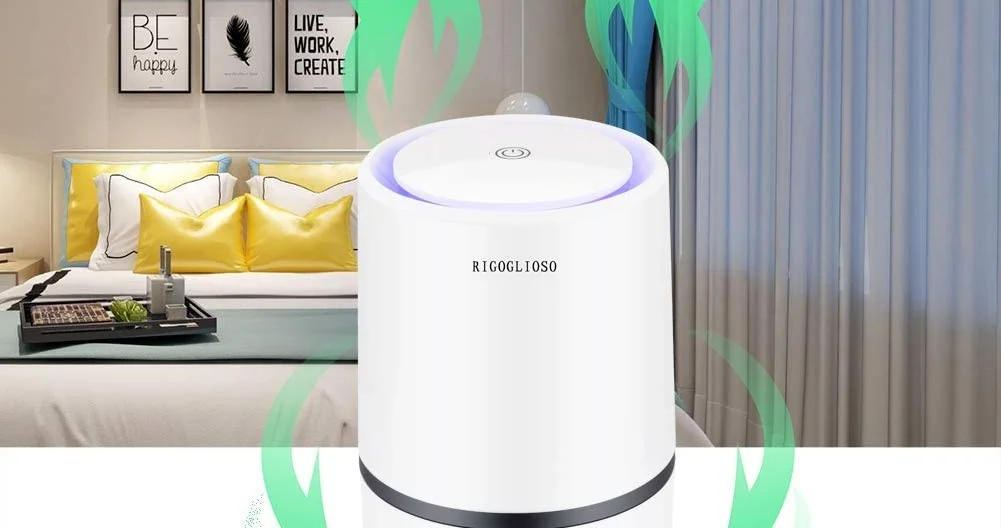 Which Air Purifier to Use When You Are Pregnant