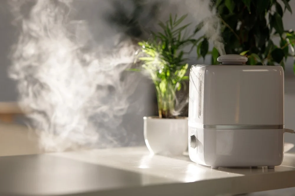 Why Does My Air Purifier Smell?